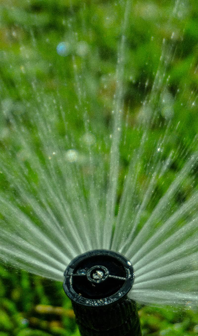 landscaping-10b.webp