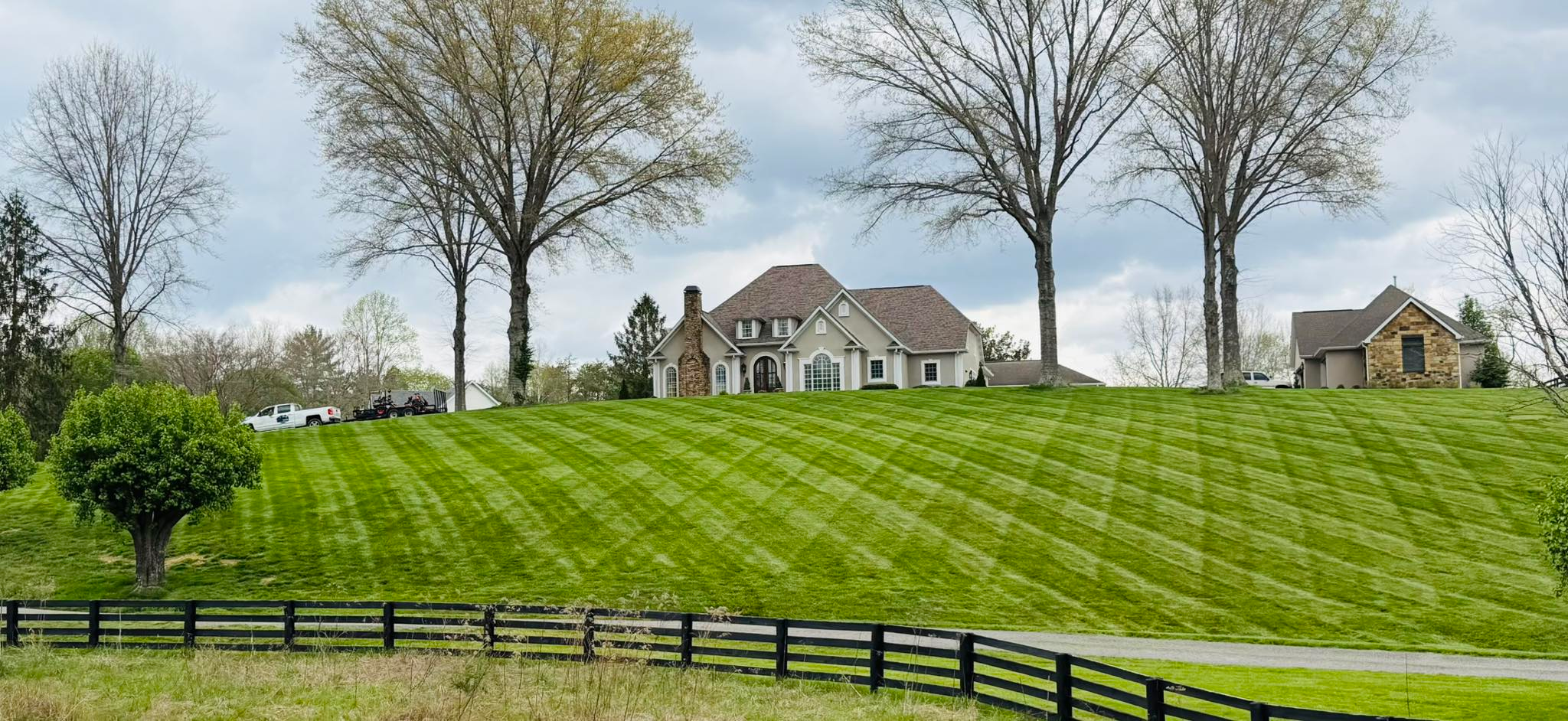 Large-Yard-Mowed-Grass